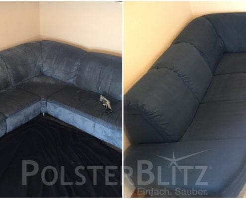 Sofa Reinigen Bakterien
